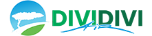 Divi Divi Air